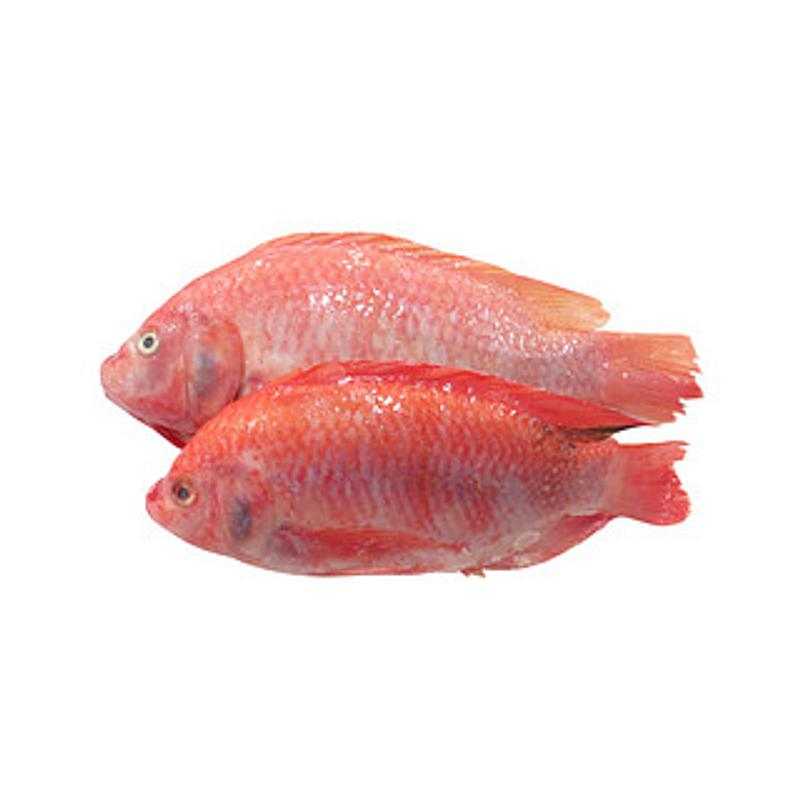 MOJARRA