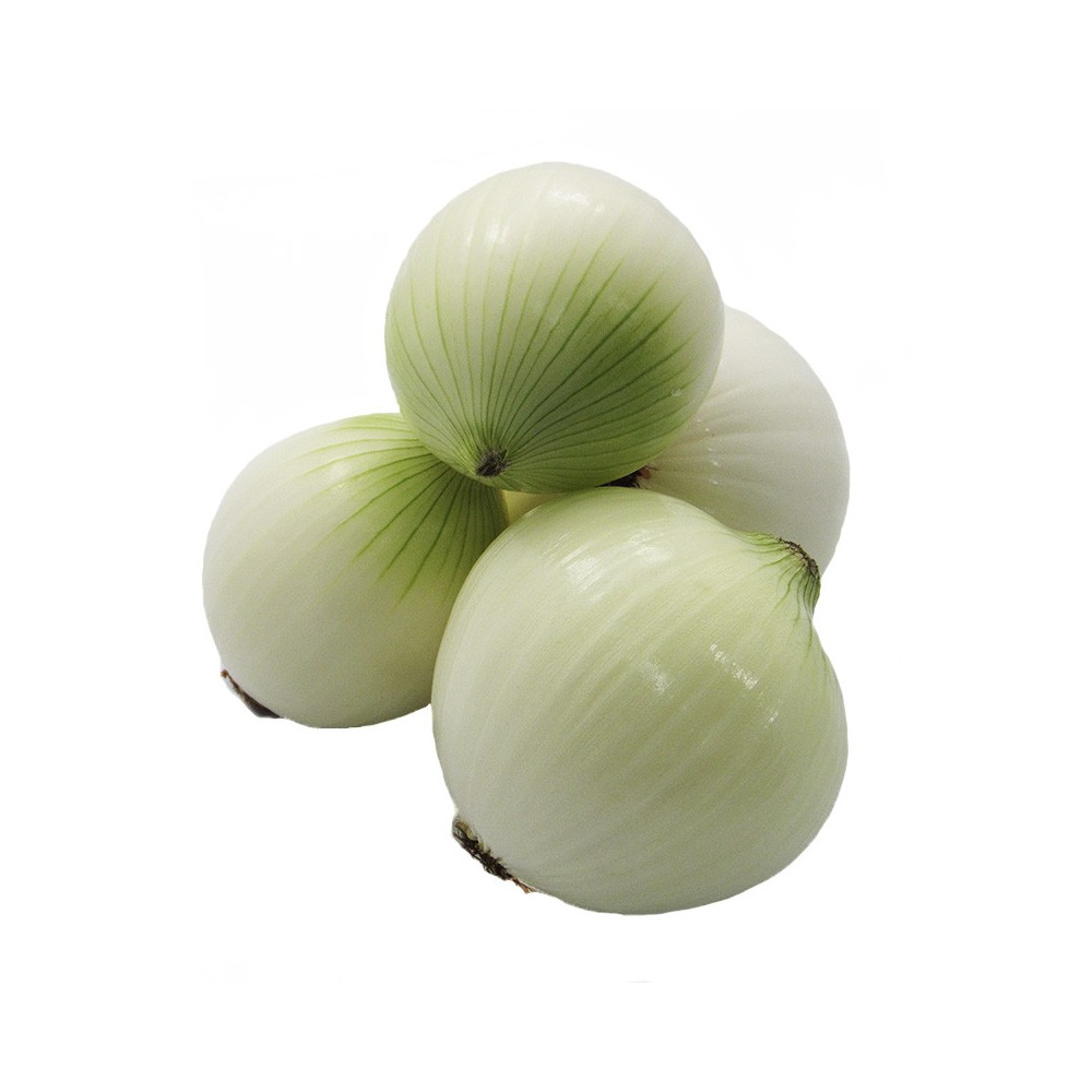 CEBOLLA CABEZONA BLANCA X LIBRA