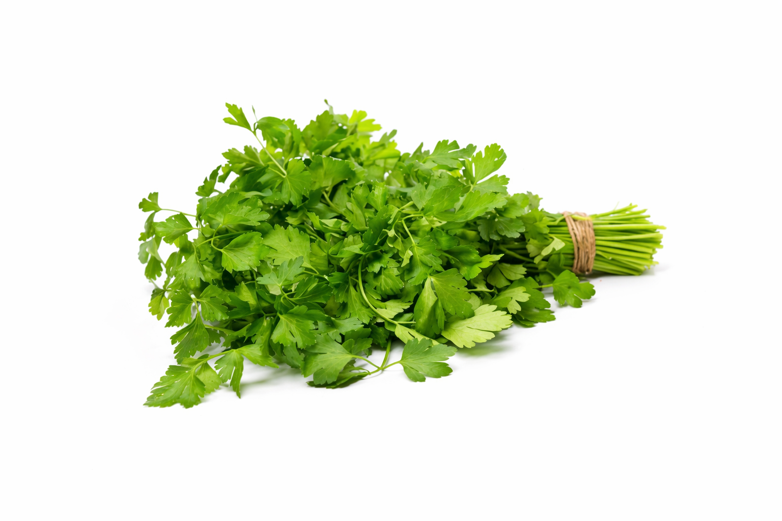 CILANTRO X LIBRA
