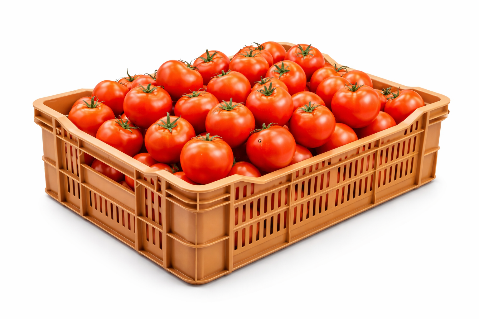 TOMATE CHONTO X CANASTILLA