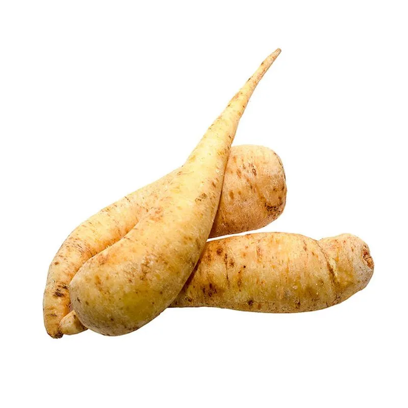 ARRACACHA X LIBRA