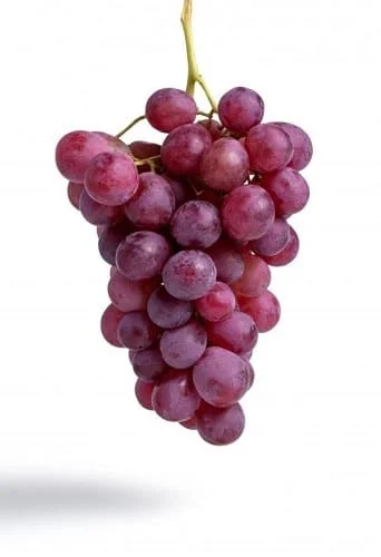 UVA CHILENA X LIBRA