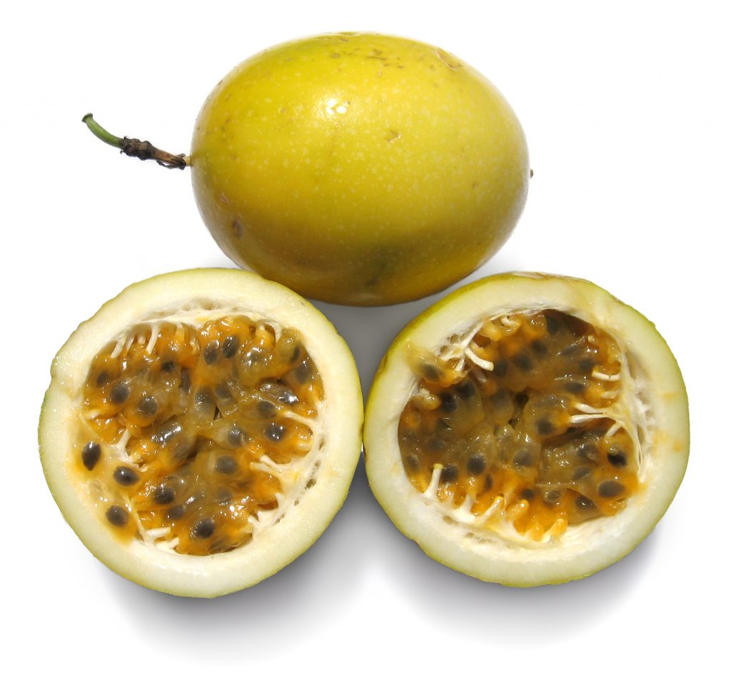 MARACUYA X LIBRA