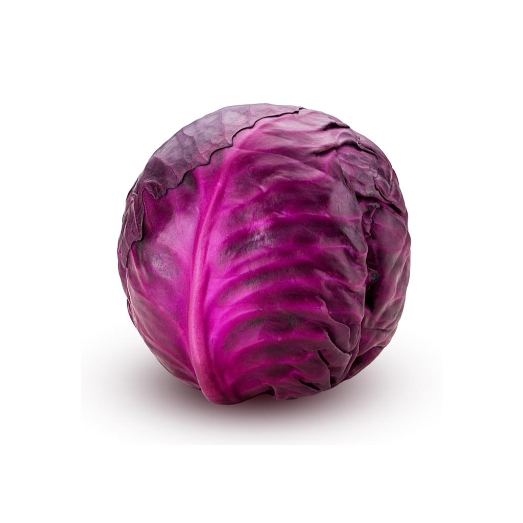 REPOLLO MORADO